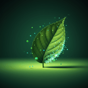 Generate a high-quality, relevant image prompt for an article about: Eco-Friendly Hosting: Best Choi